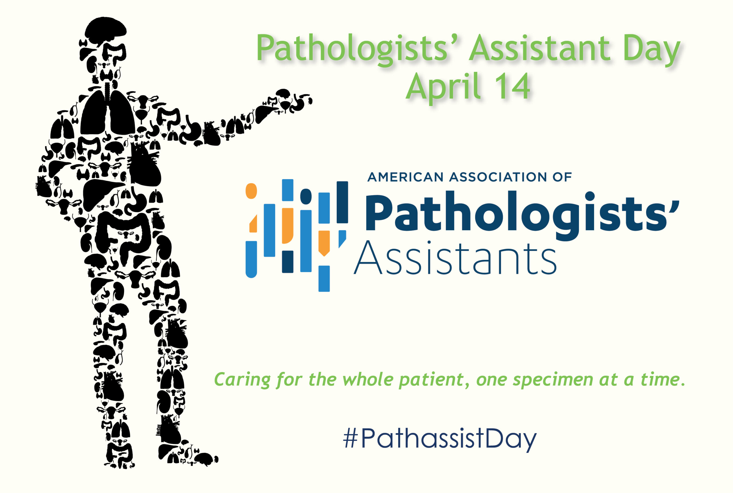 Celebrating National Pathologists’ Assistant Day!